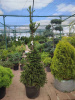 6c863f66-8f61-42a4-b0ca-37f82705